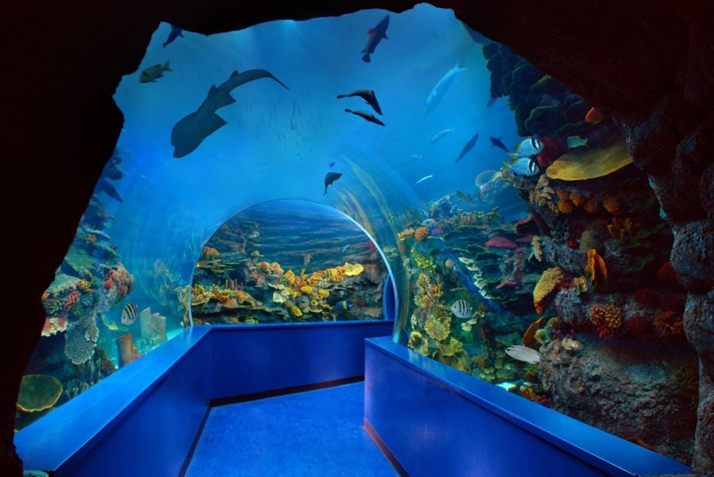 Complete guide on Sharjah Aquarium in 2023
