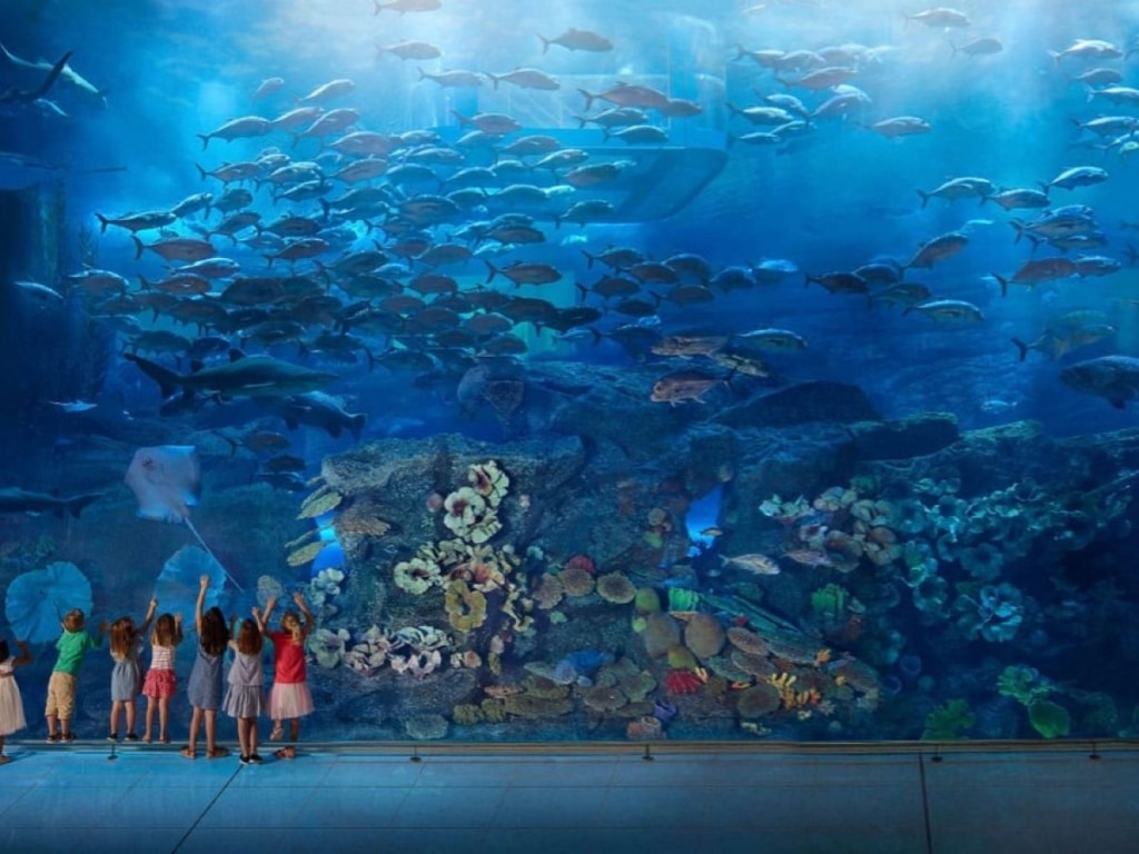 Under water Environments Aquarium By Pets Plus