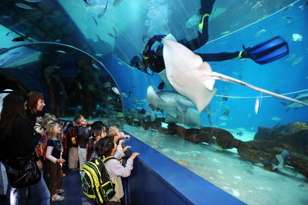 Have fun in the Sharjah aquarium in your first trip to the UAE!
